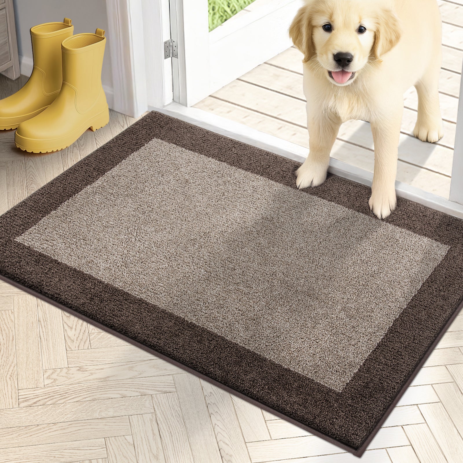 Machine Washable Bordered Dirt Trapper Door Mat